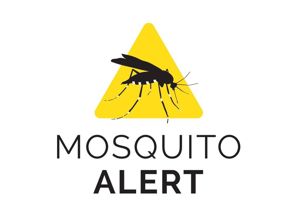 Mosquito Alert Observatorio De La Ciencia Ciudadana En Espa A