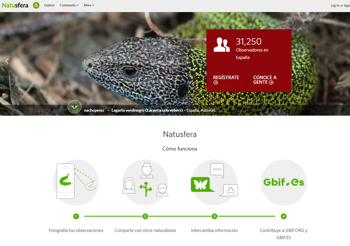 Así es Natusfera, el portal de ciencia ciudadana en España de la comunidad de iNaturalist