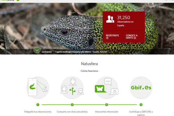 Así es Natusfera, el portal de ciencia ciudadana en España de la comunidad de iNaturalist