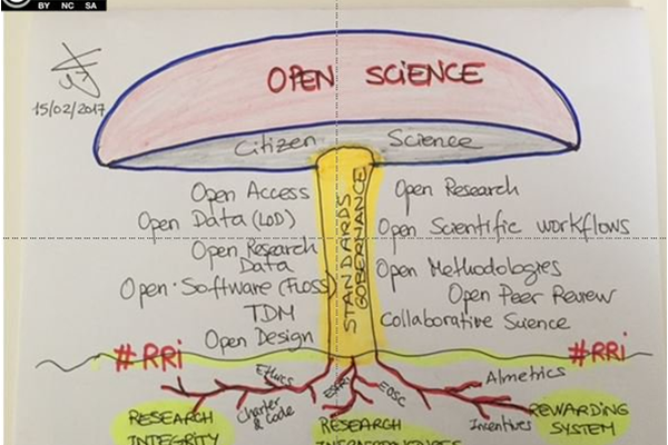 Hacer, promover y repensar la ciencia ciudadana: Un mes de experiencias compartidas