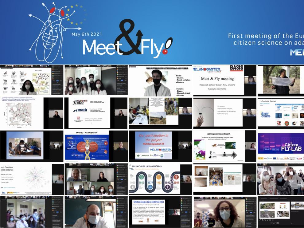 La jornada Meet&Fly reúne a las escuelas participantes en el proyecto Melanogaster: Catch The Fly!