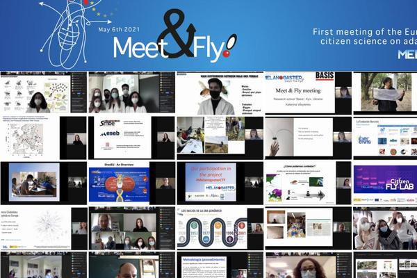 La jornada Meet&Fly reúne a las escuelas participantes en el proyecto Melanogaster: Catch The Fly!