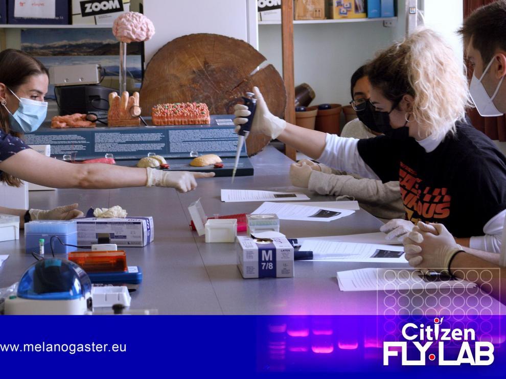 El laboratorio móvil de Citizen Fly Lab lleva la técnica de la PCR a las aulas