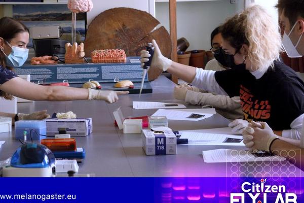 El laboratorio móvil de Citizen Fly Lab lleva la técnica de la PCR a las aulas