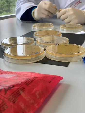 MicroMundo: ciencia ciudadana y divulgación para descubrir nuevos antibióticos en el suelo que pisamos