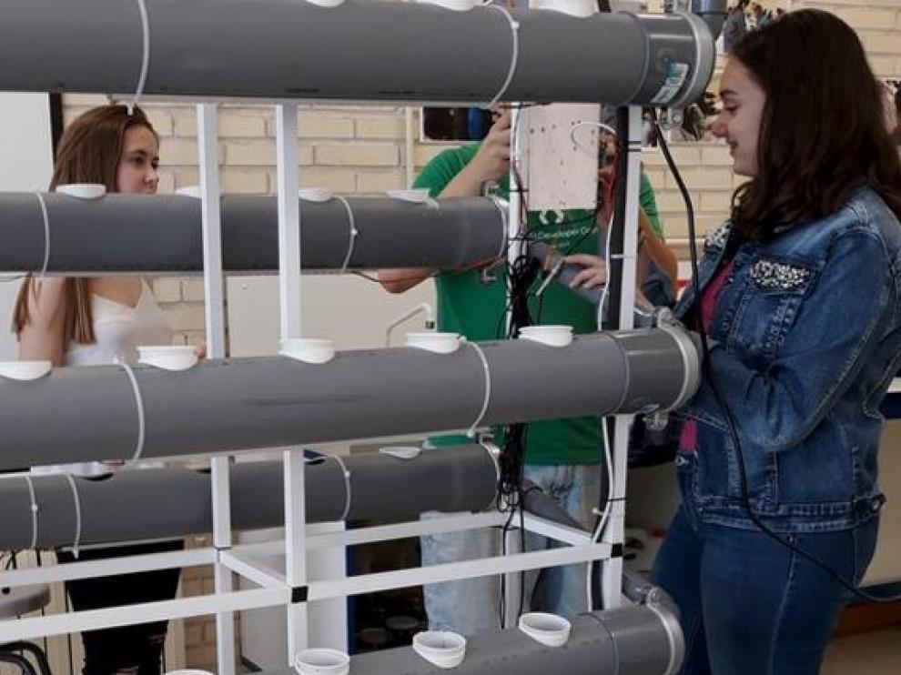 Pensamiento computacional y ciencia ciudadana en las escuelas