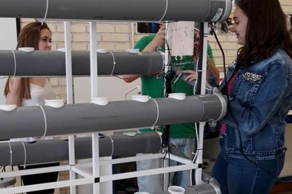 Pensamiento computacional y ciencia ciudadana en las escuelas