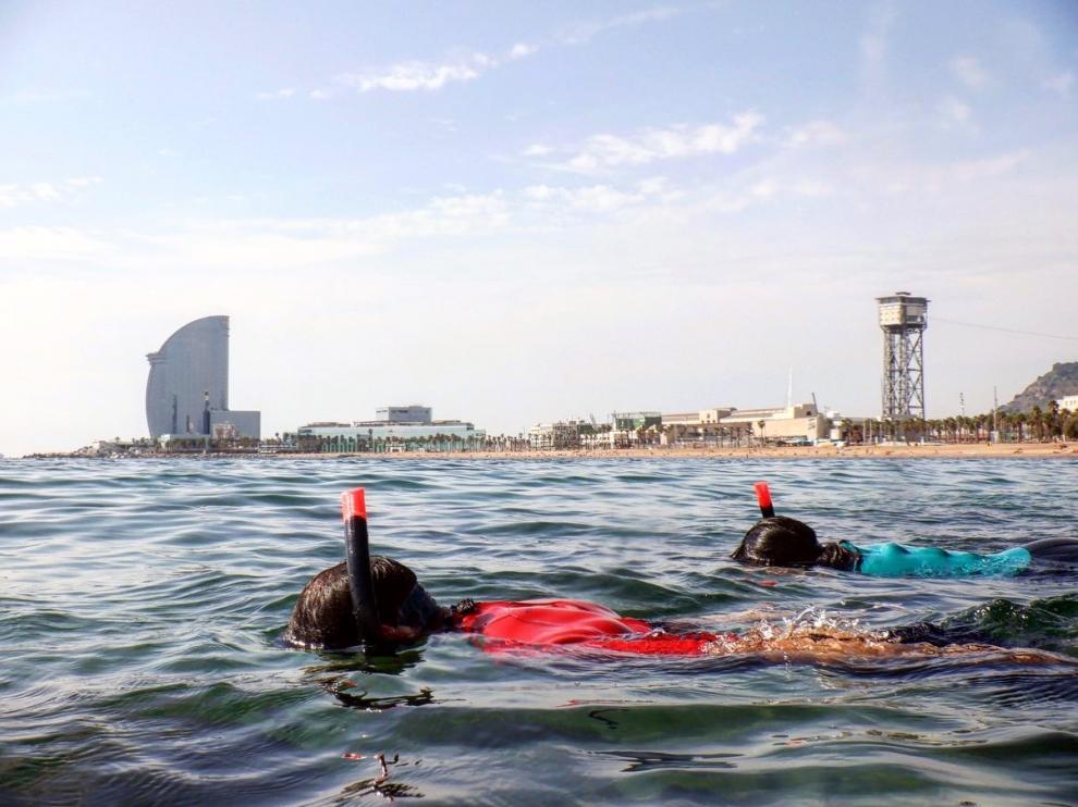 UrbamarBio, riqueza litoral y marina también en las playas urbanas