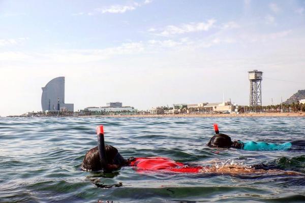UrbamarBio, riqueza litoral y marina también en las playas urbanas