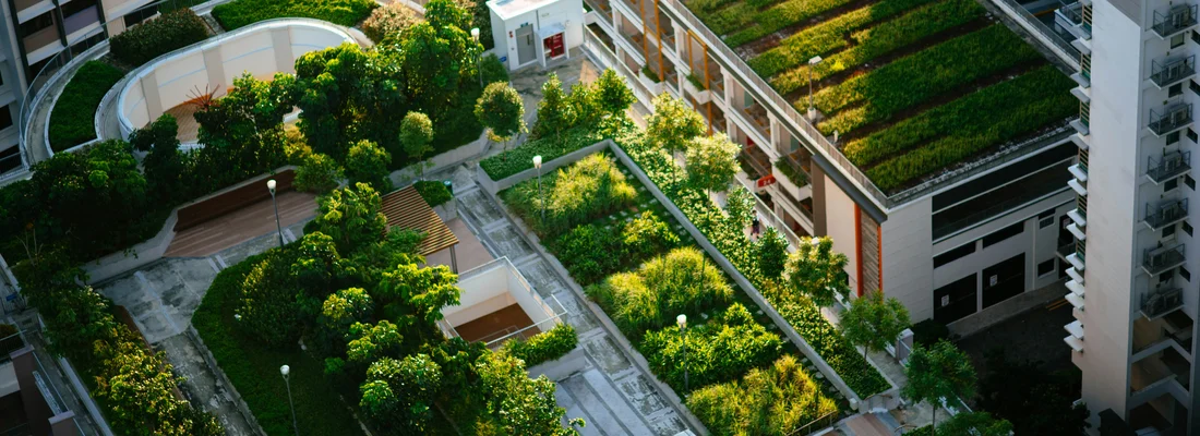 Misión climática y ciudad: encuentro interdisciplinar y cívico