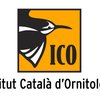 image for Institut Català d'Ornitologia