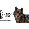image for Grupo Lobo Galicia
