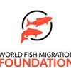 image for World Fish Migration Foundation