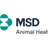 image for MSD Animal Health