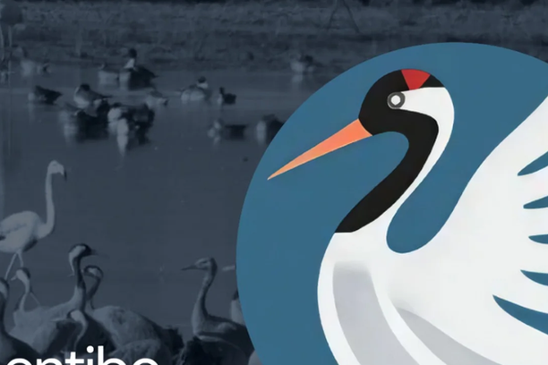 Image for GalloConta