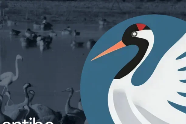 Image for GalloConta