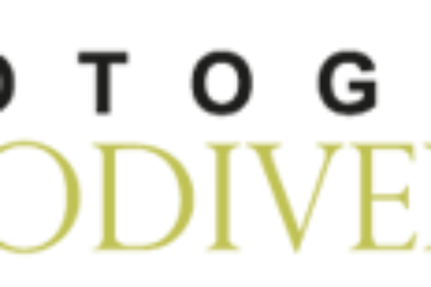 Image for Asociación Fotografía y Biodiversidad