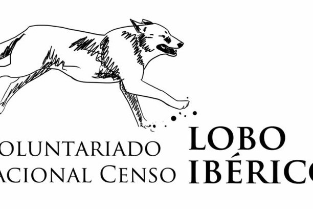 Image for Voluntariado Nacional para el Censo del Lobo Ibérico