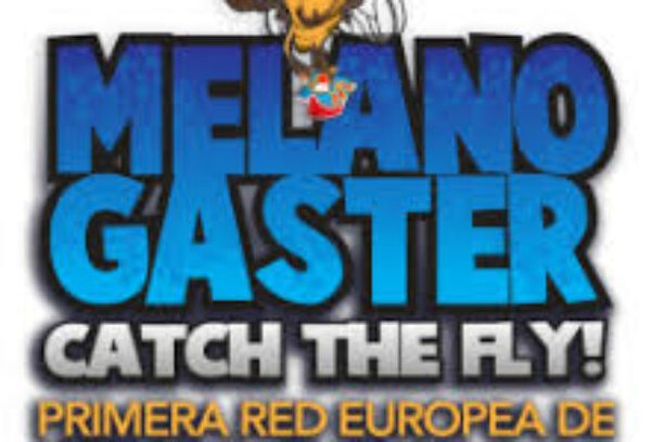 Image for Melanogaster: Catch The Fly!