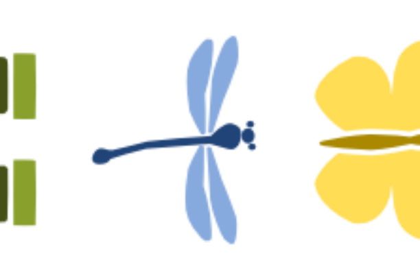 Image for Red de Participación en Ciencia Ciudadana