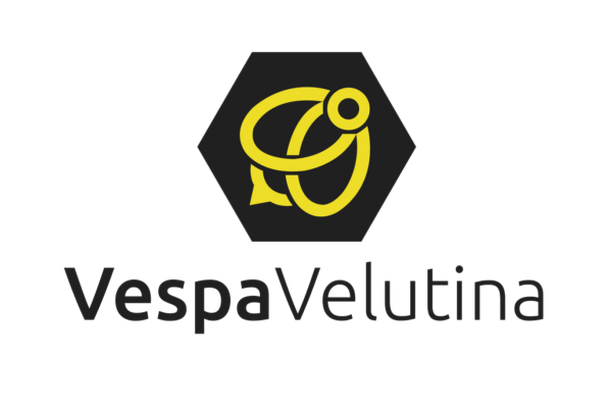Image for Vespa Velutina