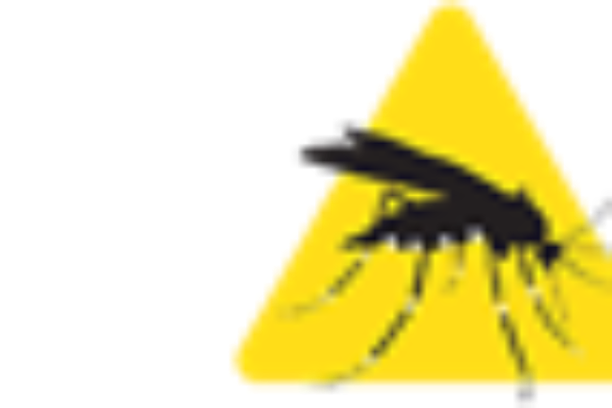 Image for Mosquito Alert