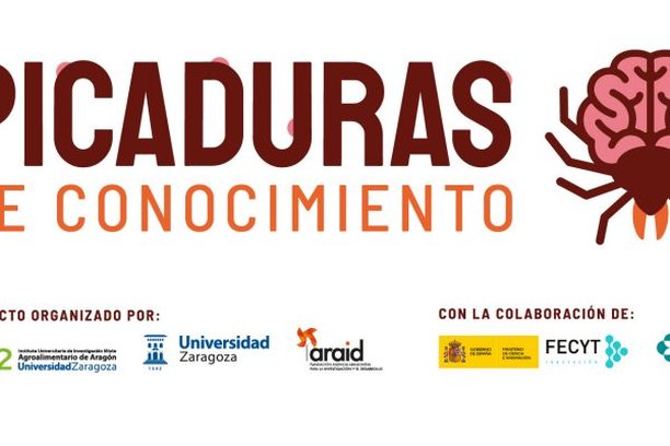Image for Picaduras de conocimiento