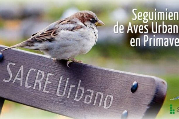 Image for SACRE Urbano