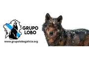 image for Grupo Lobo Galicia