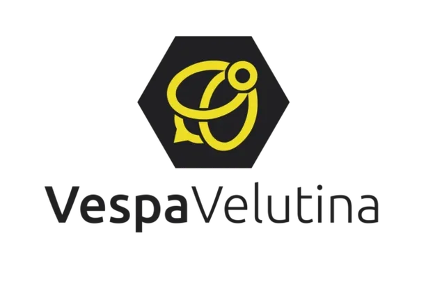 Image for Vespa Velutina