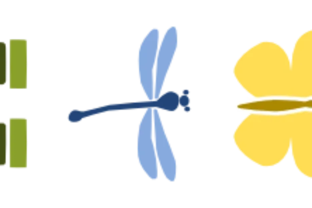 Image for Red de Participación en Ciencia Ciudadana