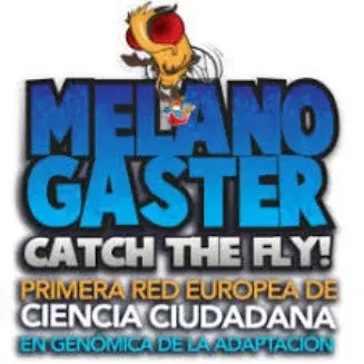 Melanogaster: Catch The Fly!