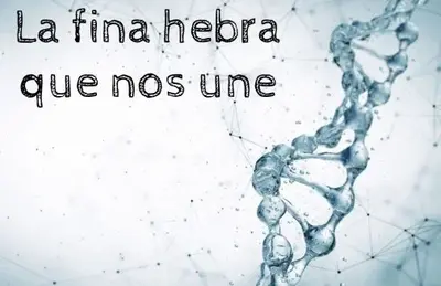 La fina hebra que nos une