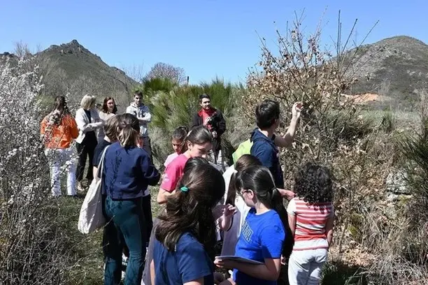 Image for Mulleres raíz: ciencia ciudadana con mujeres del medio rural, de edad avanzada o con deterioro cognitivo, para la recuperación del patrimonio musical asociado a los oficios