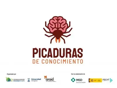Picaduras de conocimiento