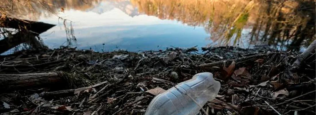 El mar empieza en los Pirineos: aplicando la ciencia ciudadana en el ámbito escolar para conocer la contaminación por plásticos en nuestros ríos y su transporte hacia el mar.