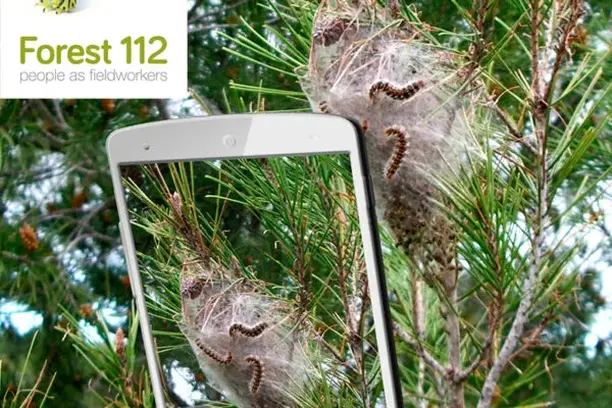 Image for Forest112