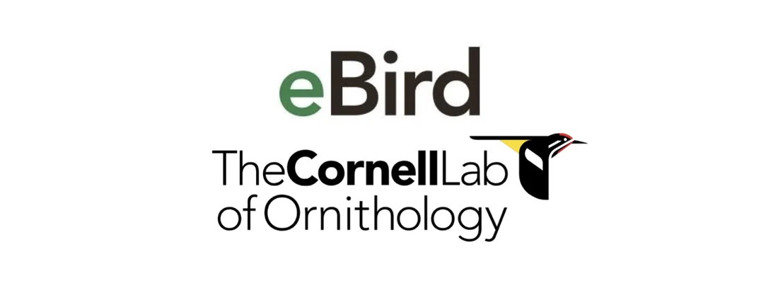 eBird España