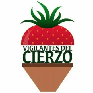 Vigilantes del Cierzo