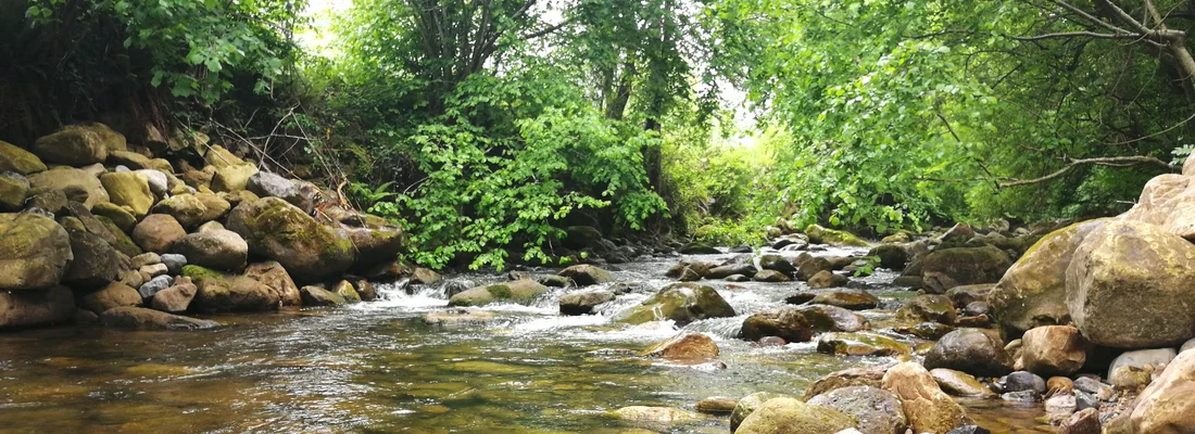 Proyecto Ríos - Cantabria