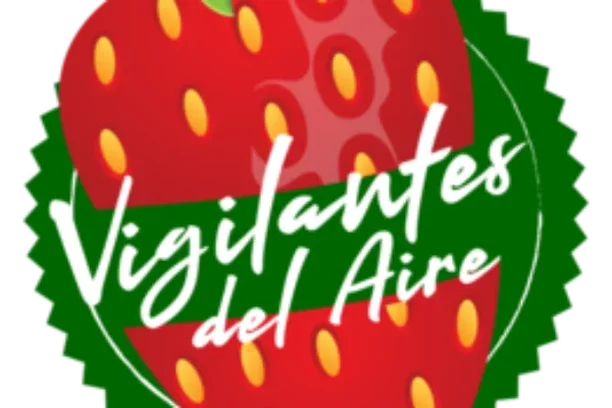 Image for Vigilantes del Aire