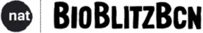 BioBlitzBcn