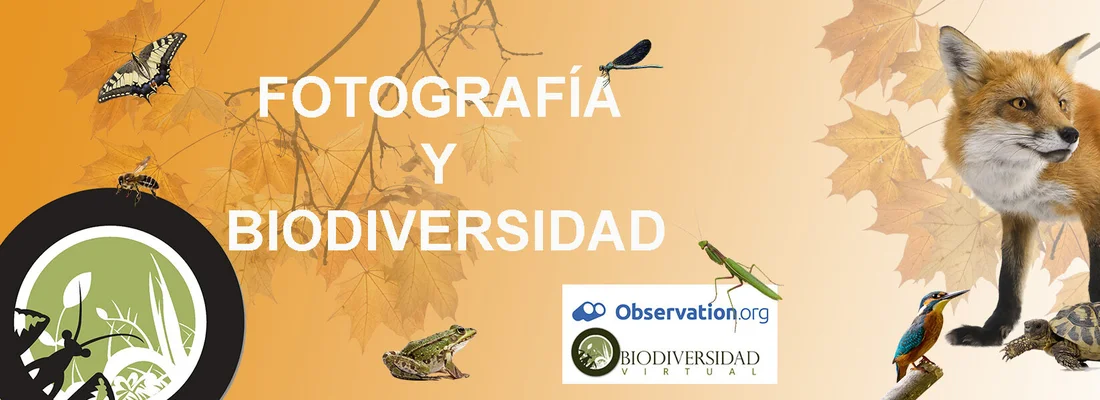 Fotografía y Biodiversidad