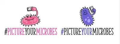 Picture Your Microbes – Imagina tus microbios
