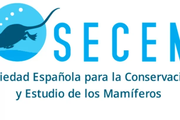 Image for SAFE – Stop Atropellos de Fauna en España