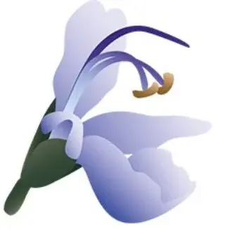 FenoDato