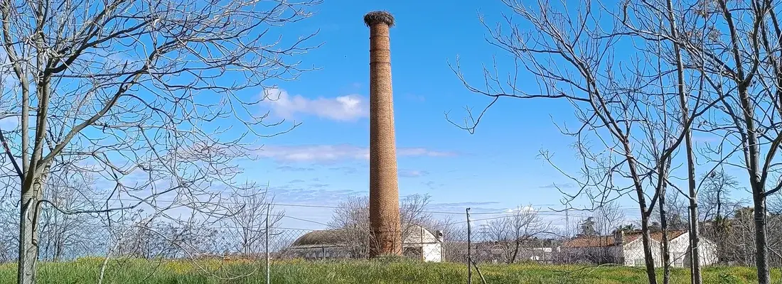 Chimeneas industriales de Villafranca de los Barros