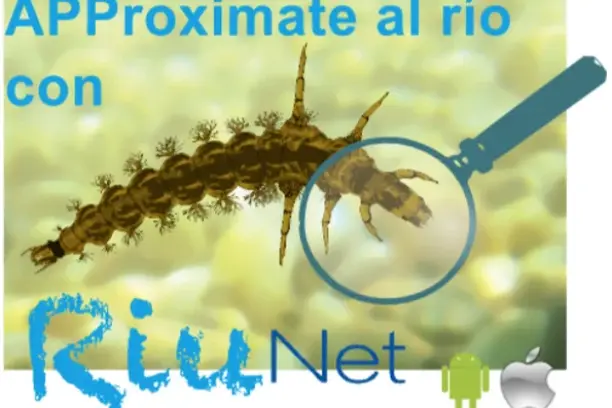 Image for RiuNet