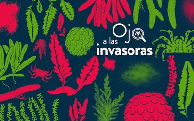 ¡Ojo a las invasoras!