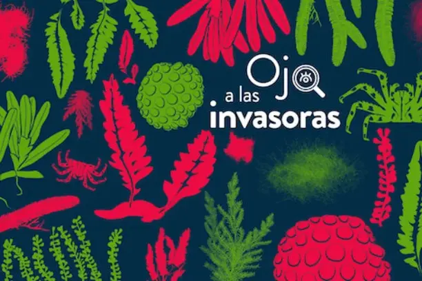 Image for ¡Ojo a las invasoras!